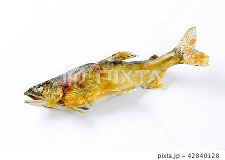 鮎の塩焼き 鮎の塩焼き 42840128