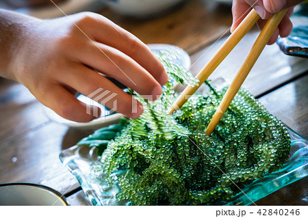 海ぶどう 42840246