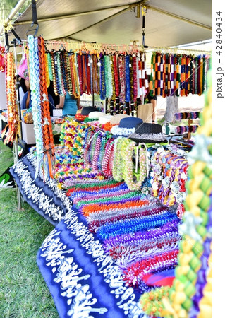 ハワイの休日 42840434