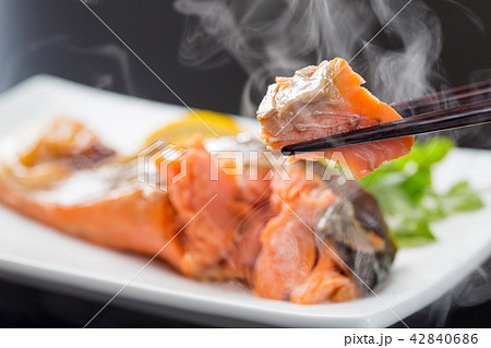 焼き鮭 焼き鮭 42840686