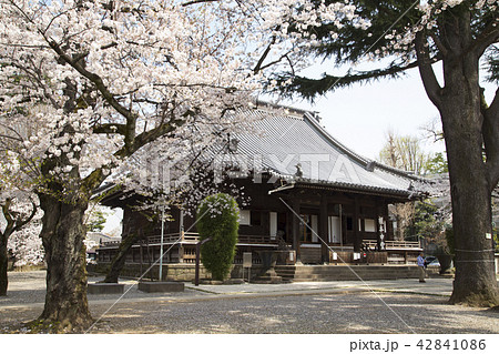 上野寛永寺 42841086