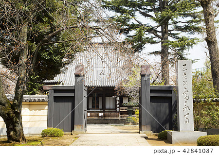 上野寛永寺 42841087