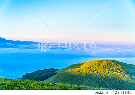 朝日が差す丘と雲海 42841846