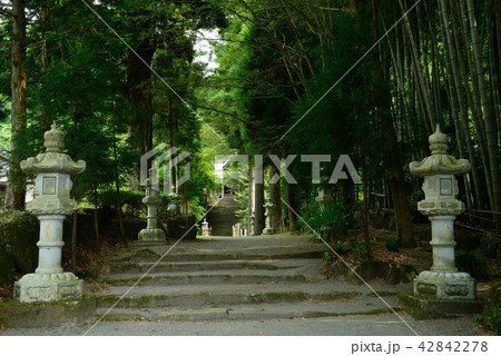 国造神社参道 国造神社参道 42842278