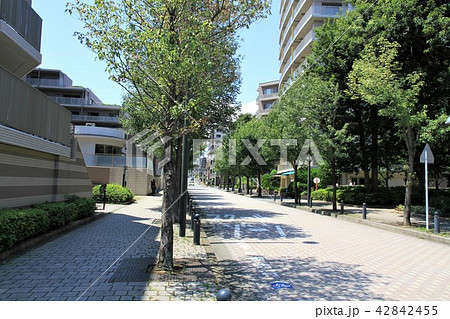 神奈川県大和市 中央林間周辺 町並み 風景 神奈川県大和市 中央林間周辺 町並み 風景 42842455