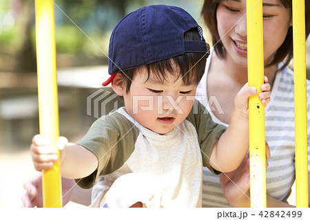 男の子　幼児　公園　親子　家族 42842499