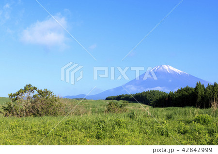 富士山 富士山 42842999
