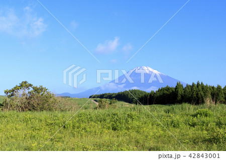 富士山 富士山 42843001