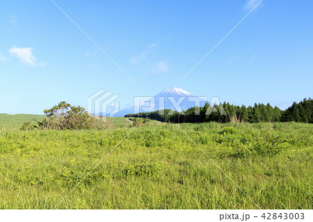 富士山 富士山 42843003