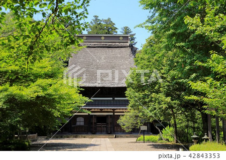 潮来あやめ園　長勝寺　 42843353