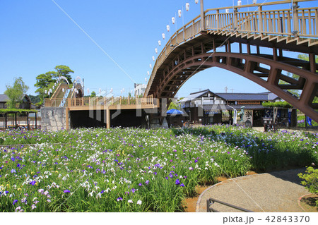 潮来あやめ園　長勝寺　 42843370
