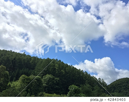 夏空１ 42843403