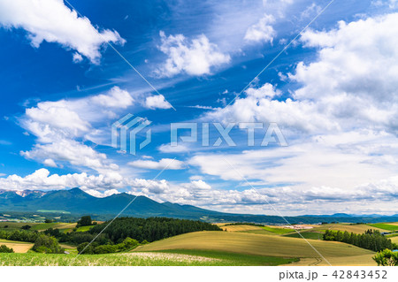《北海道》上富良野・夏の空と田園風景 《北海道》上富良野・夏の空と田園風景 42843452