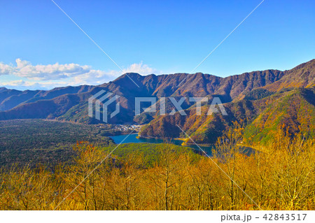 紅葉シーズンの三湖台から西日を受けた西湖と樹海の風景 42843517