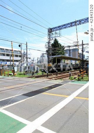 神奈川県大和市 中央林間駅 町並み 神奈川県大和市 中央林間駅 町並み 42843520
