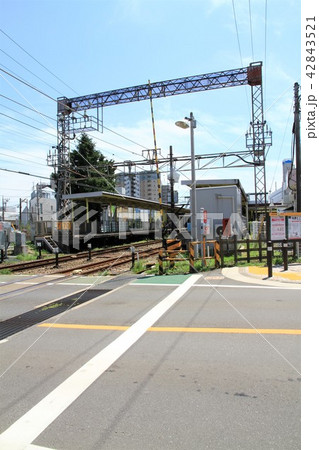 神奈川県大和市　中央林間駅　町並み 42843521