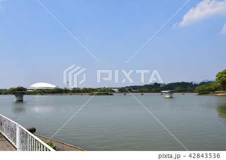 駕与丁公園 42843536