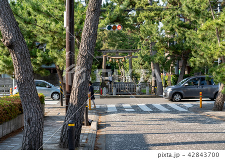 田舎道 茅ヶ崎 神奈川の写真素材