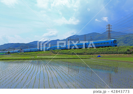 田植え直後の田園地帯を行く小田急ロマンスカーMSE60000形 42843773