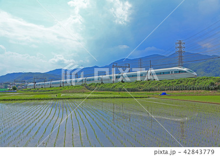 田植え直後の田園地帯を行く小田急ロマンスカーVSE50000形 42843779