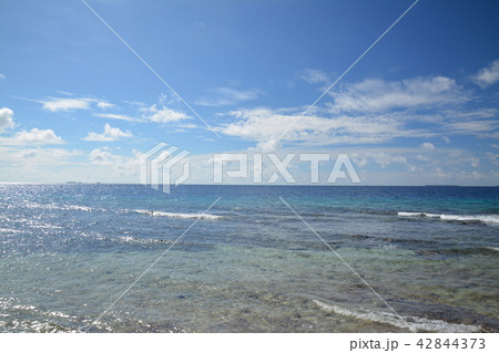 ミクロネシア海 42844373