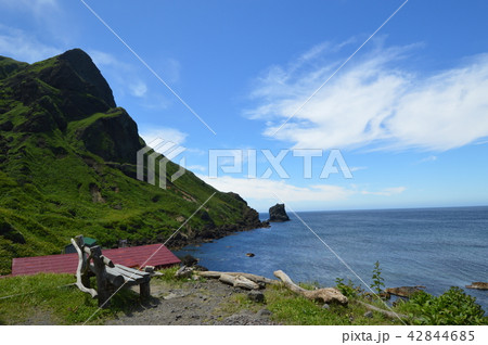 礼文島 猫岩 礼文島 猫岩 42844685