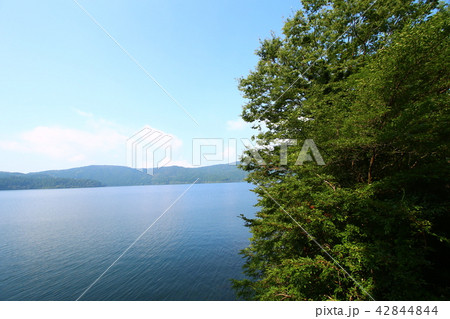 芦ノ湖の風景 42844844