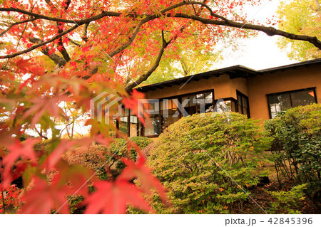聴竹居外からの風景 聴竹居外からの風景 42845396