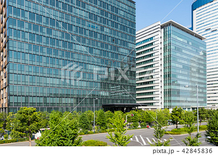 (東京都-都市風景)豊洲ビル群と並木道１ 42845836