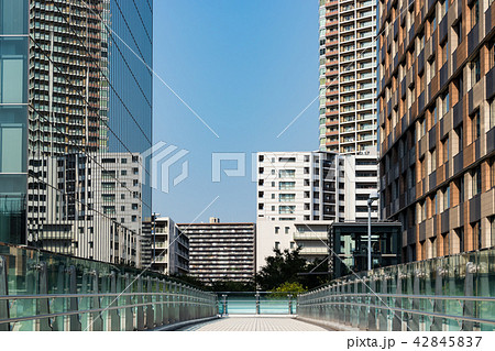 (東京都-都市風景)豊洲ビル群と遊歩道1 (東京都-都市風景)豊洲ビル群と遊歩道1 42845837