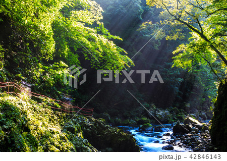 天岩戸神社 岩戸川 【宮崎県西臼杵郡高千穂町】 天岩戸神社 岩戸川 【宮崎県西臼杵郡高千穂町】 42846143