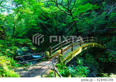 天岩戸神社 太鼓橋 【宮崎県西臼杵郡高千穂町】 天岩戸神社 太鼓橋 【宮崎県西臼杵郡高千穂町】 42846199