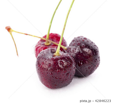 closeup fresh cherry isolated on white 42846223
