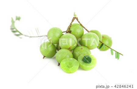 Indian gooseberry isolated on white background 42846241