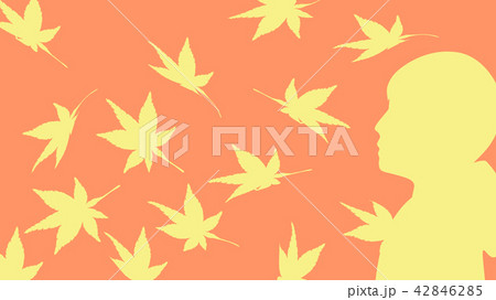 モミジ モミジ 42846285