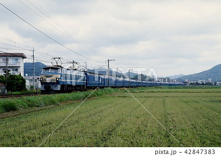 1994年 山陽線を走るEF6646ブルートレイン24系あさかぜ1号 1994年 山陽線を走るEF6646ブルートレイン24系あさかぜ1号 42847383