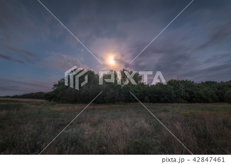 Night Landscape Night Landscape 42847461