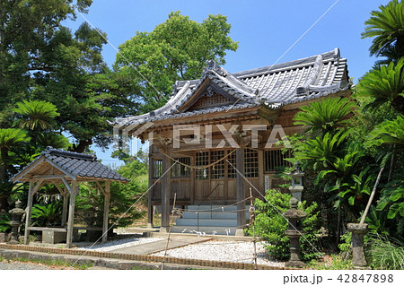 宮崎神社 42847898