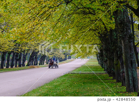 Horse-drawn wagon on the autumn road Horse-drawn wagon on the autumn road 42848550