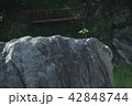 岩の上 42848744