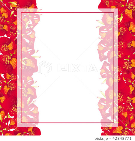 Red Canna lily Banner Card Border Red Canna lily Banner Card Border 42848771