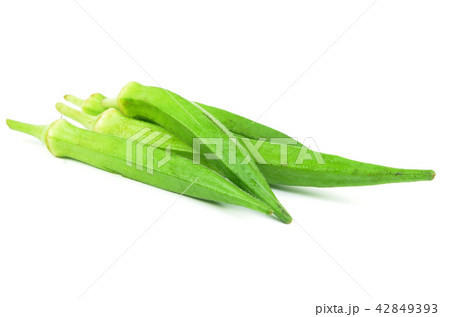 Green okra isolated 42849393