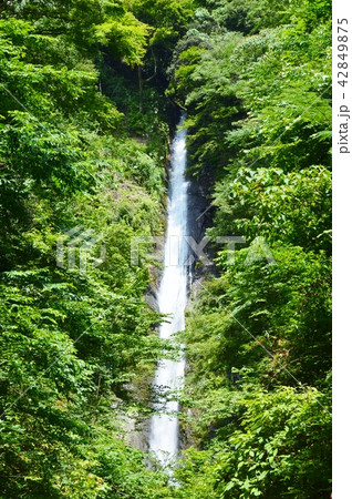 洒水の滝 洒水の滝 42849875