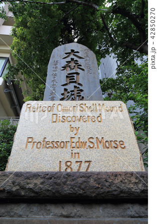 大森貝塚の碑 42850270