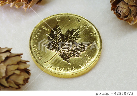 メイプルリーフ金貨 メイプルリーフ金貨 42850772
