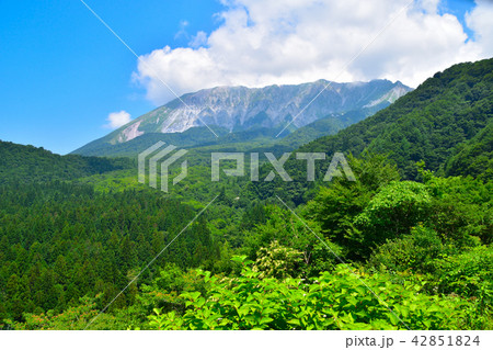 夏 大山 鍵掛峠より 夏 大山 鍵掛峠より 42851824