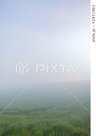 朝靄の中で 42851962
