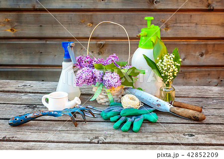 Gardening Tools on wooden background 42852209