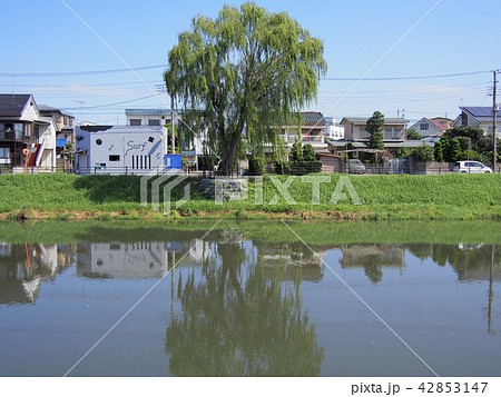 古利根川 42853147
