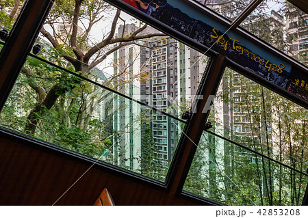 香港　ビクトリアピークのトラム 42853208